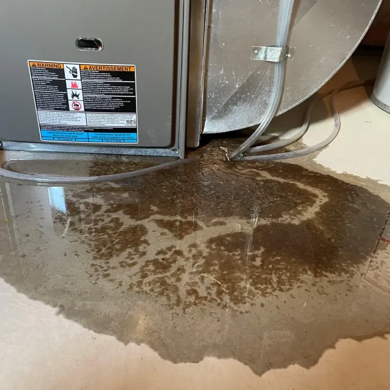 Appliance Leak Cleanup in Seabrook, MD